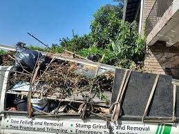 Best Attic Cleanout  in Ogallala, NE